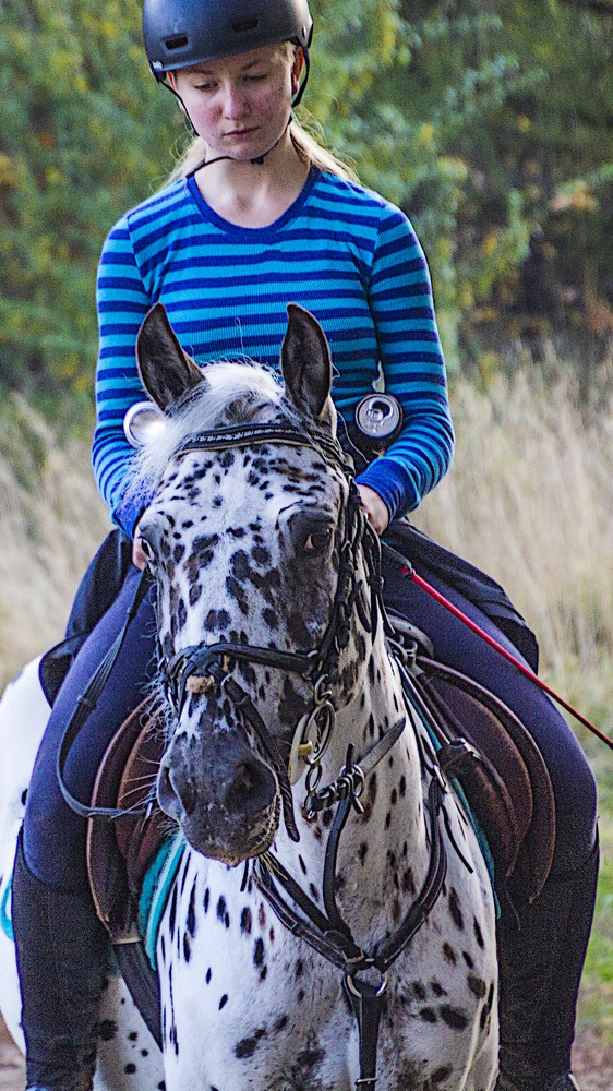 Парный портрет. Наездница.