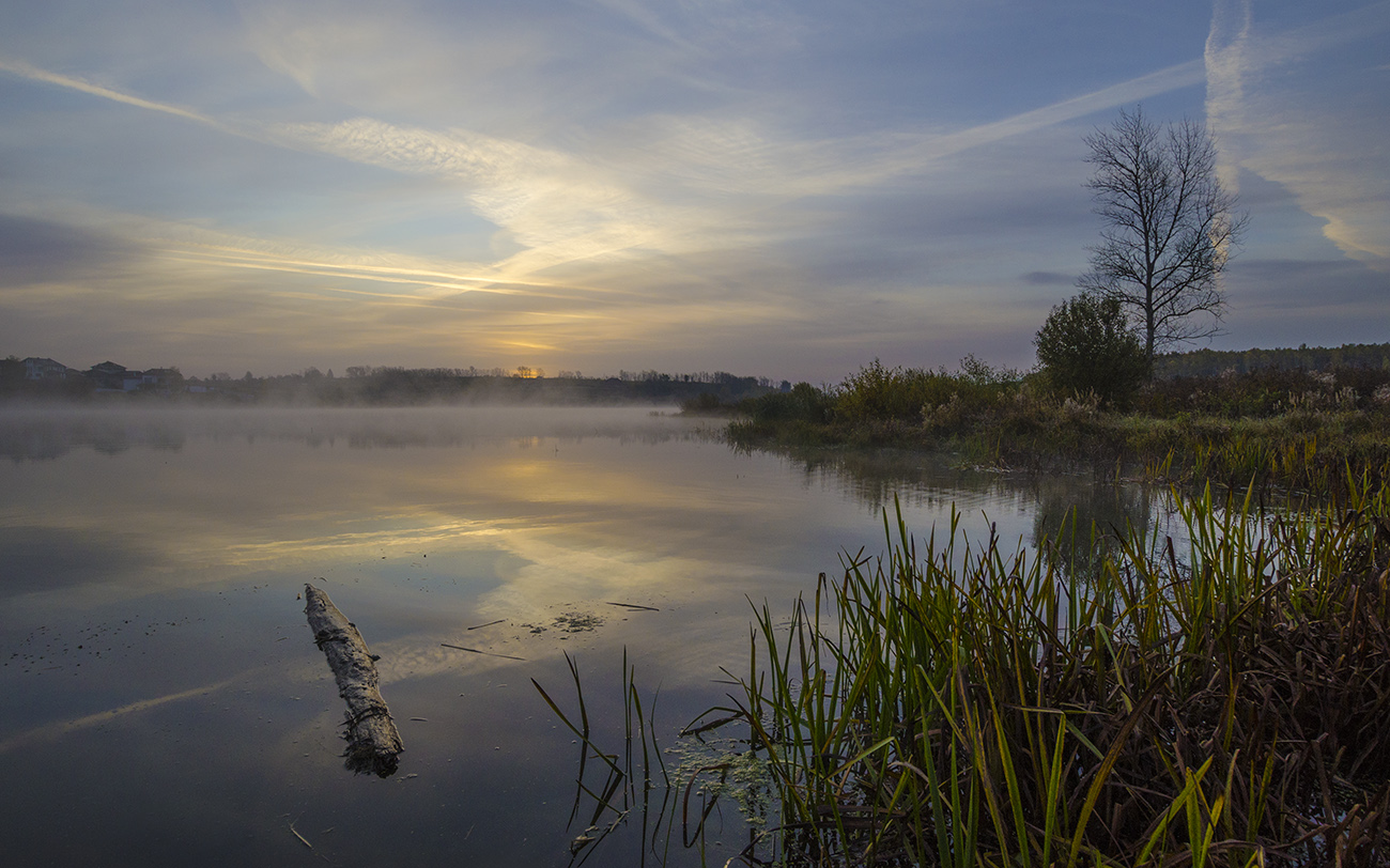 Живописное утро