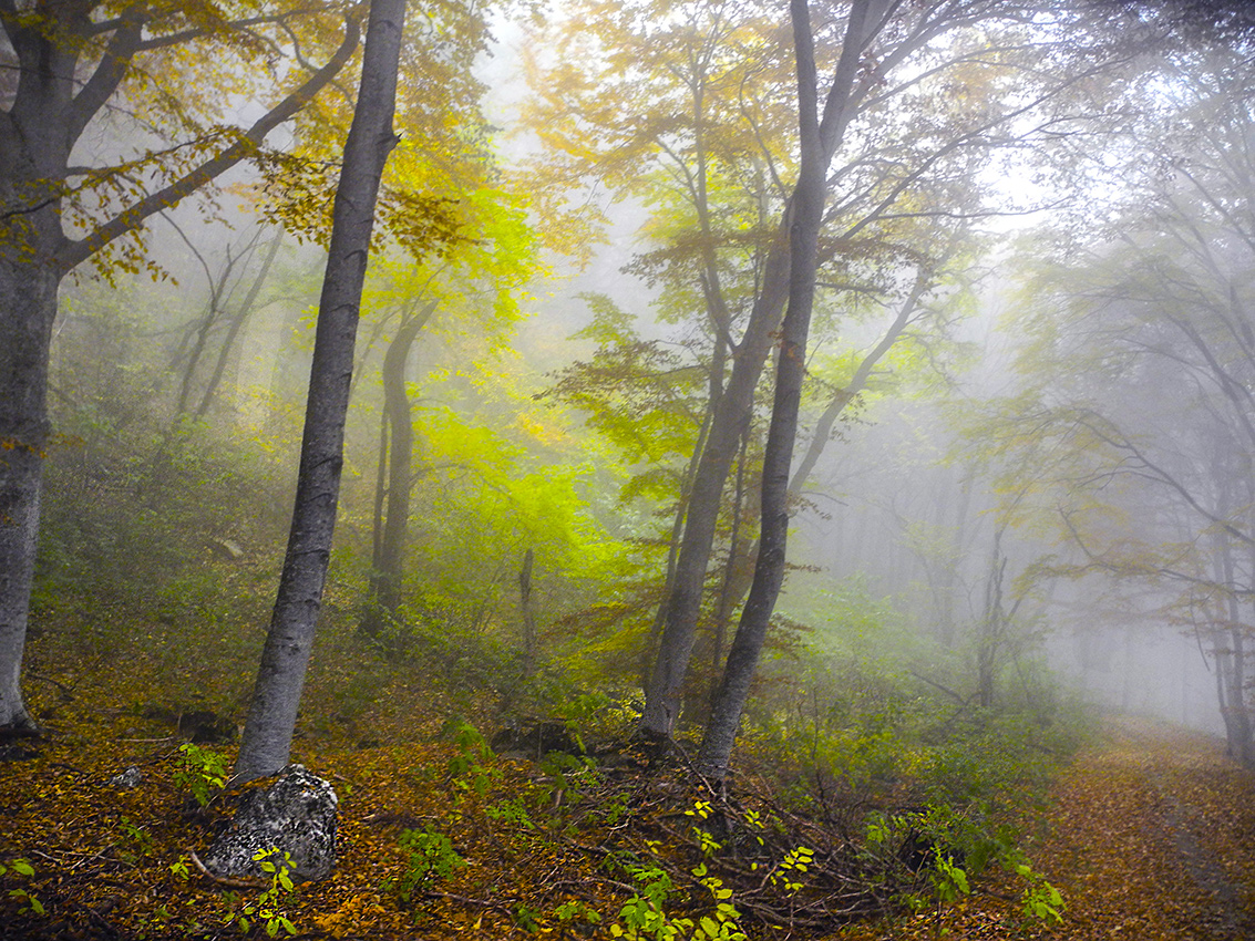Пробираясь по тропам