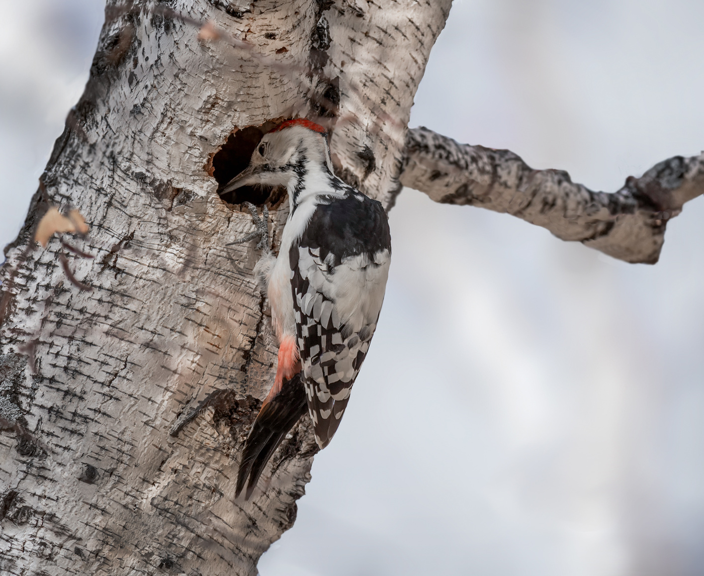 Квартирный вопрос..