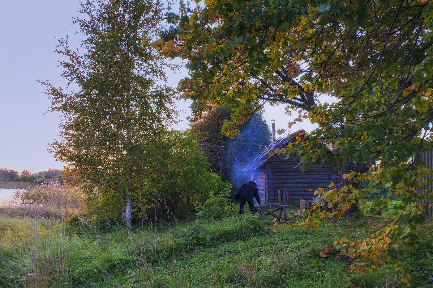 Вечерний шашлык