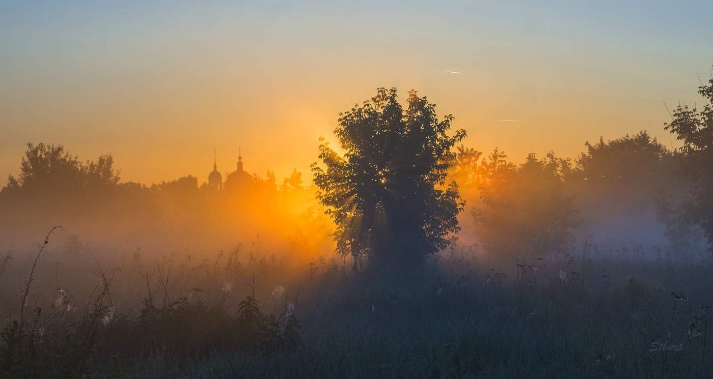 Летнее утро в поле.
