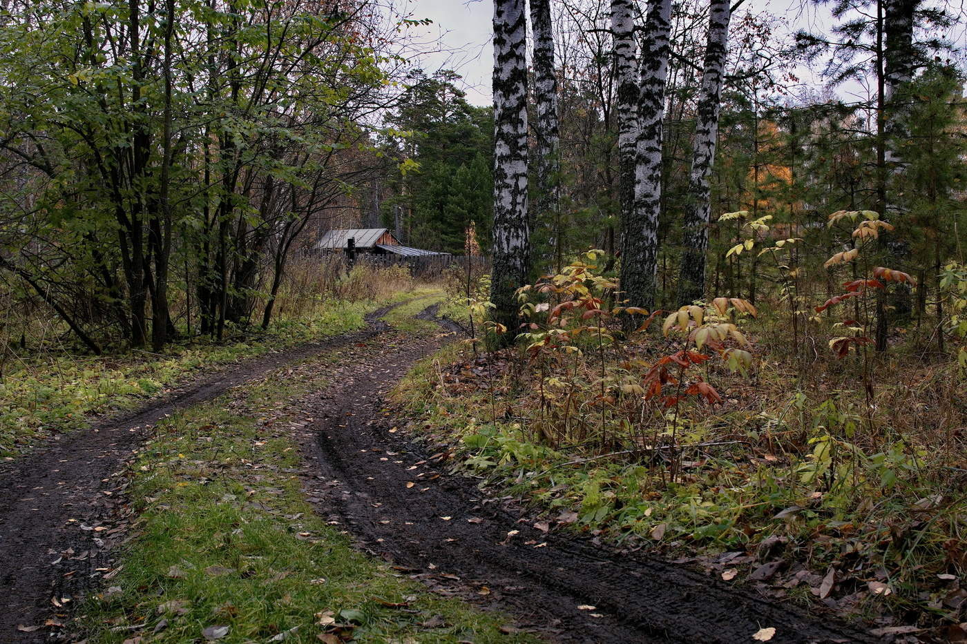 Осенний день.