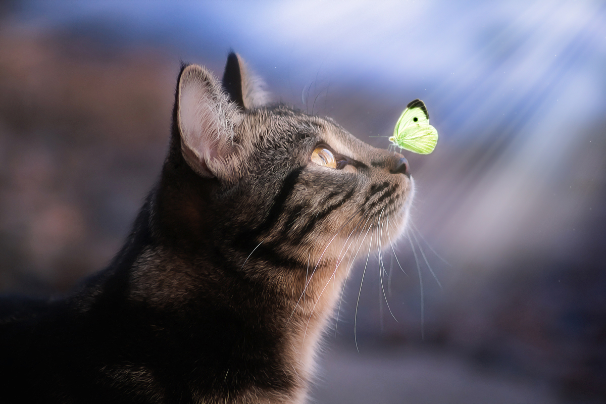 Иногда "чудеса" случаются...