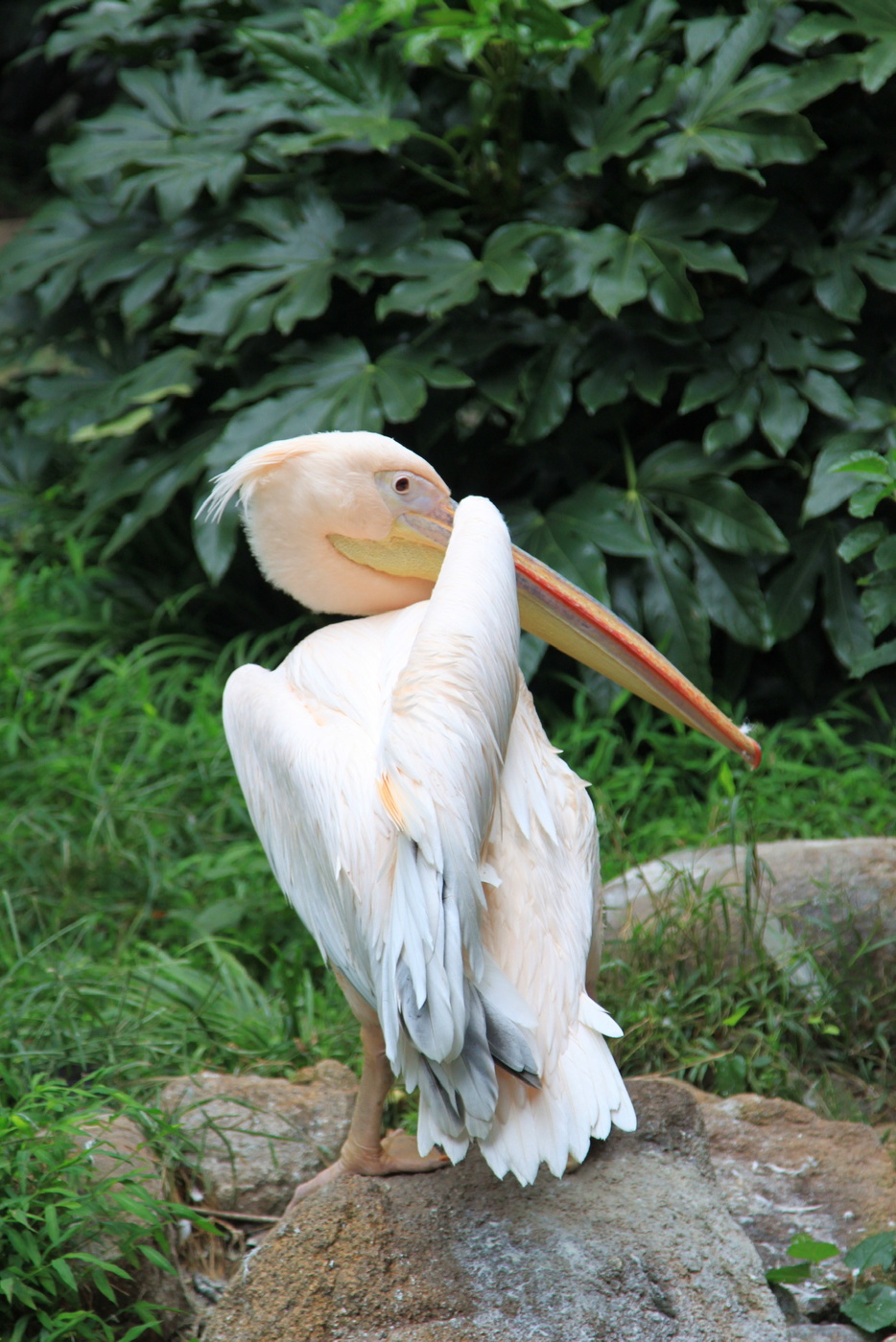 Я стесняюсь…