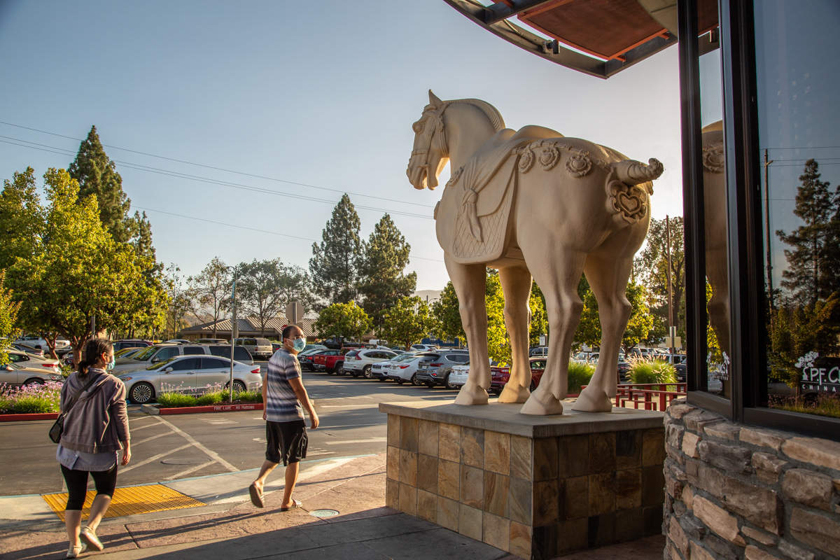 С точки зрения лошади...