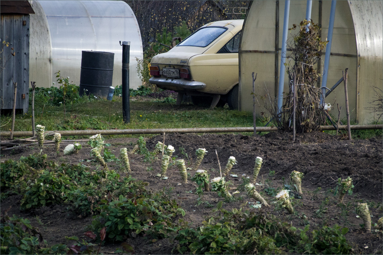 палеонтология