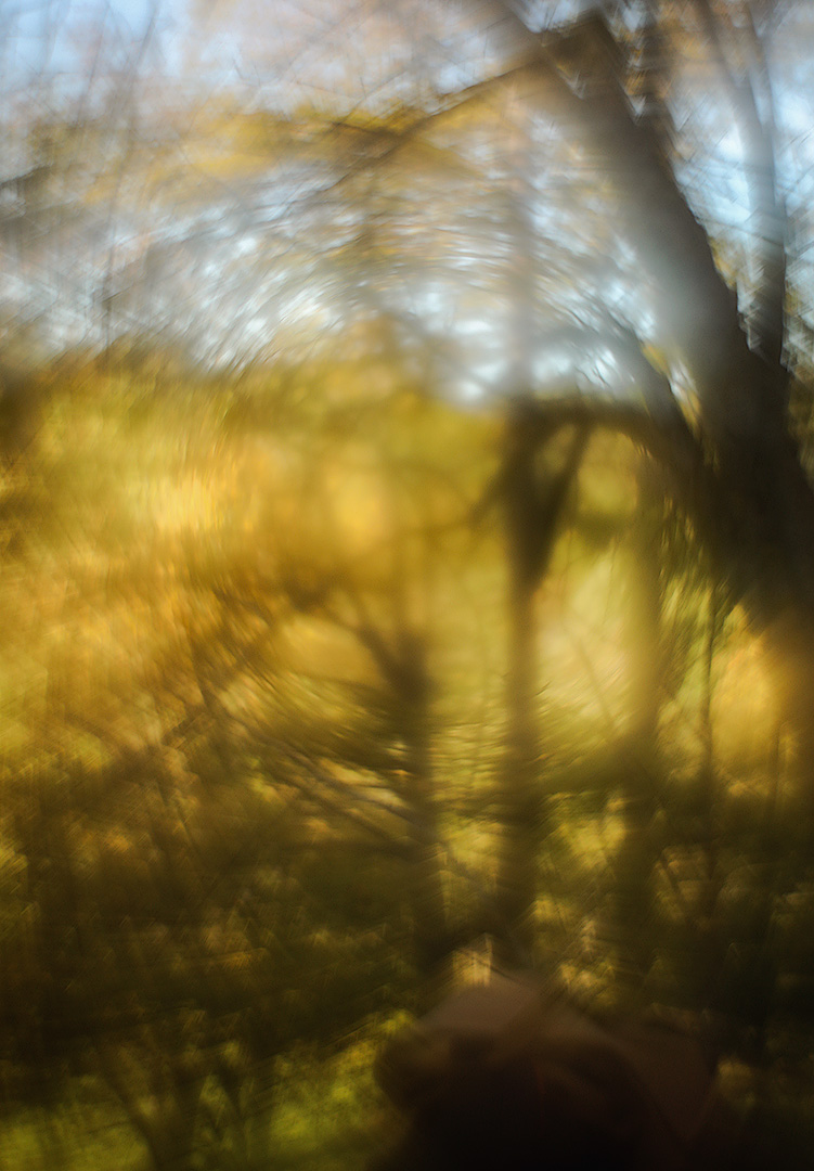 Все краски осени