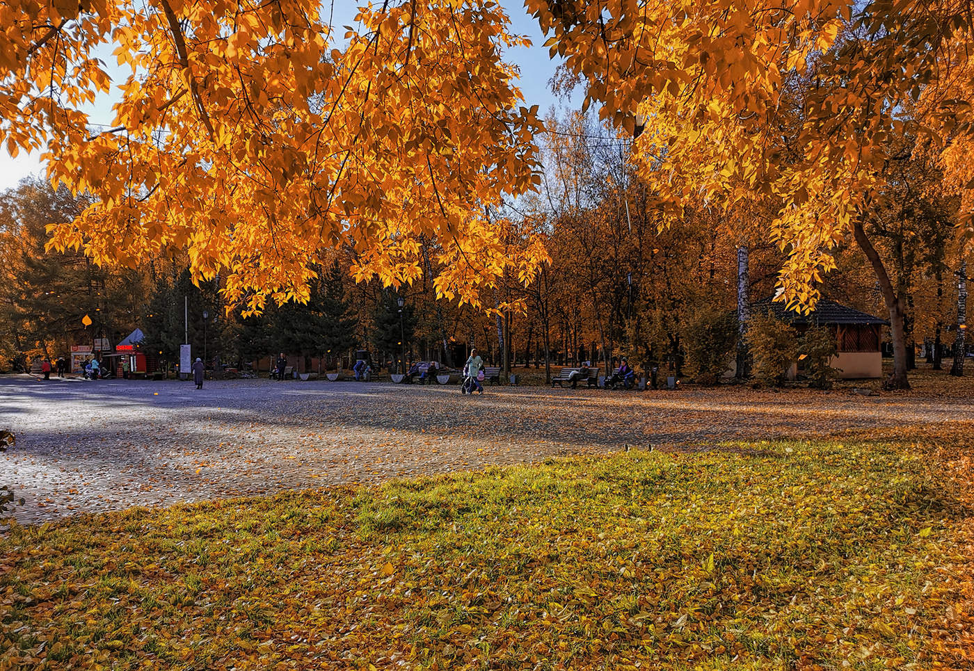 Все краски осени