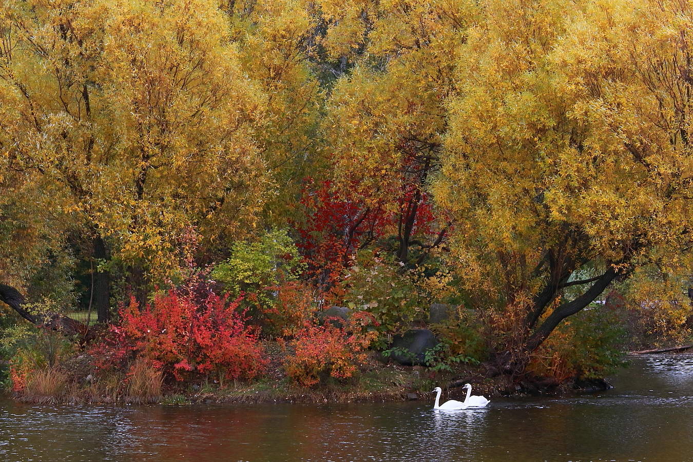 Все краски осени