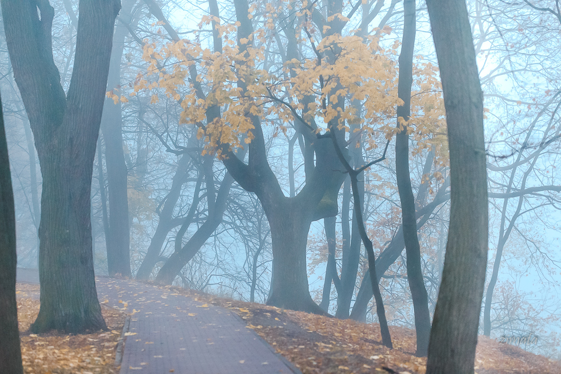 Все краски осени