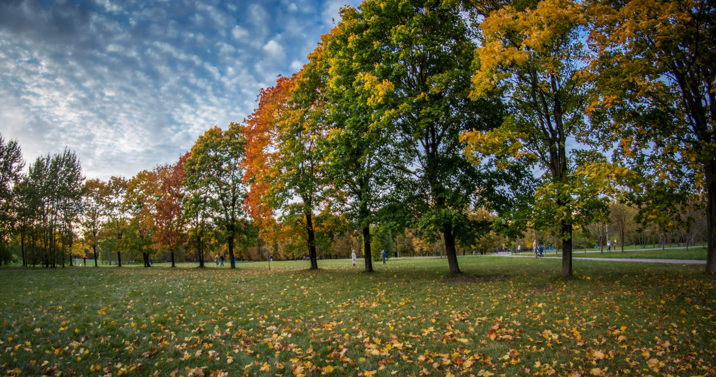 Все краски осени