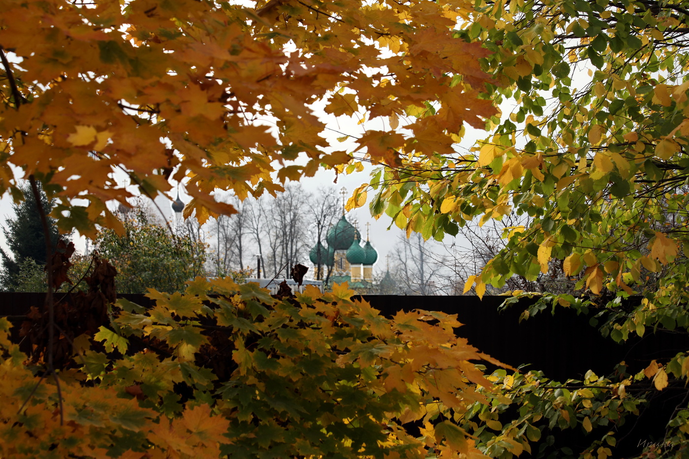 Все краски осени