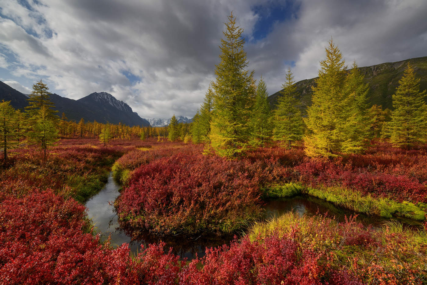 Все краски осени