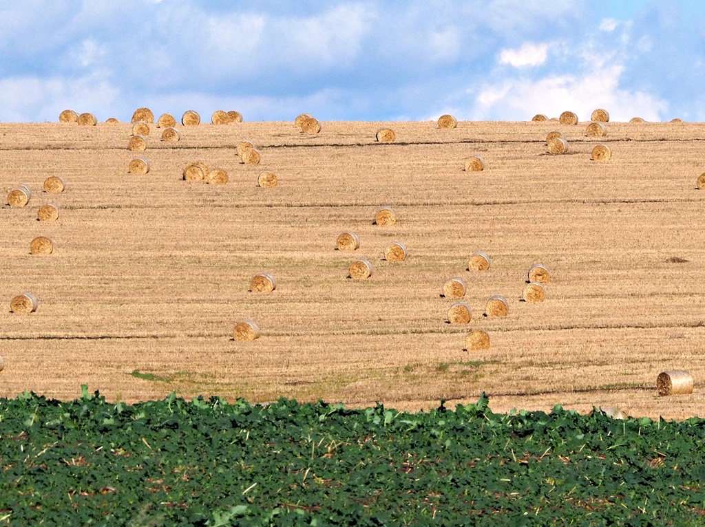 Все краски осени
