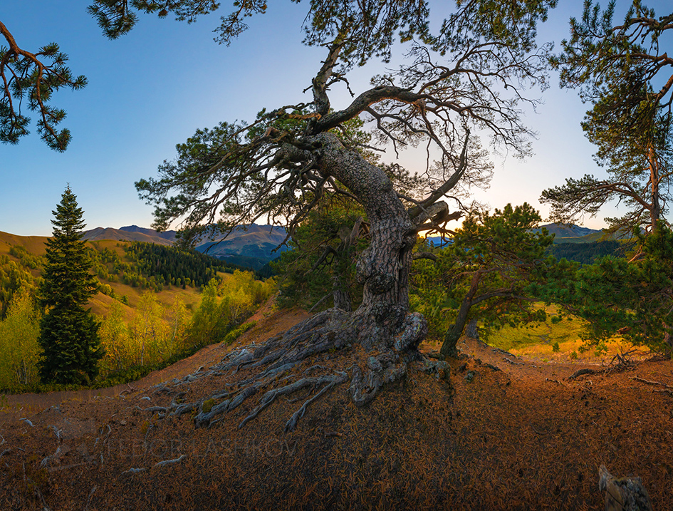 Живые хранители Архыза
