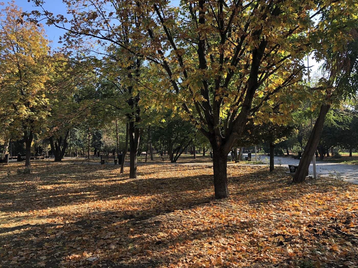 allen Farben des Herbstes