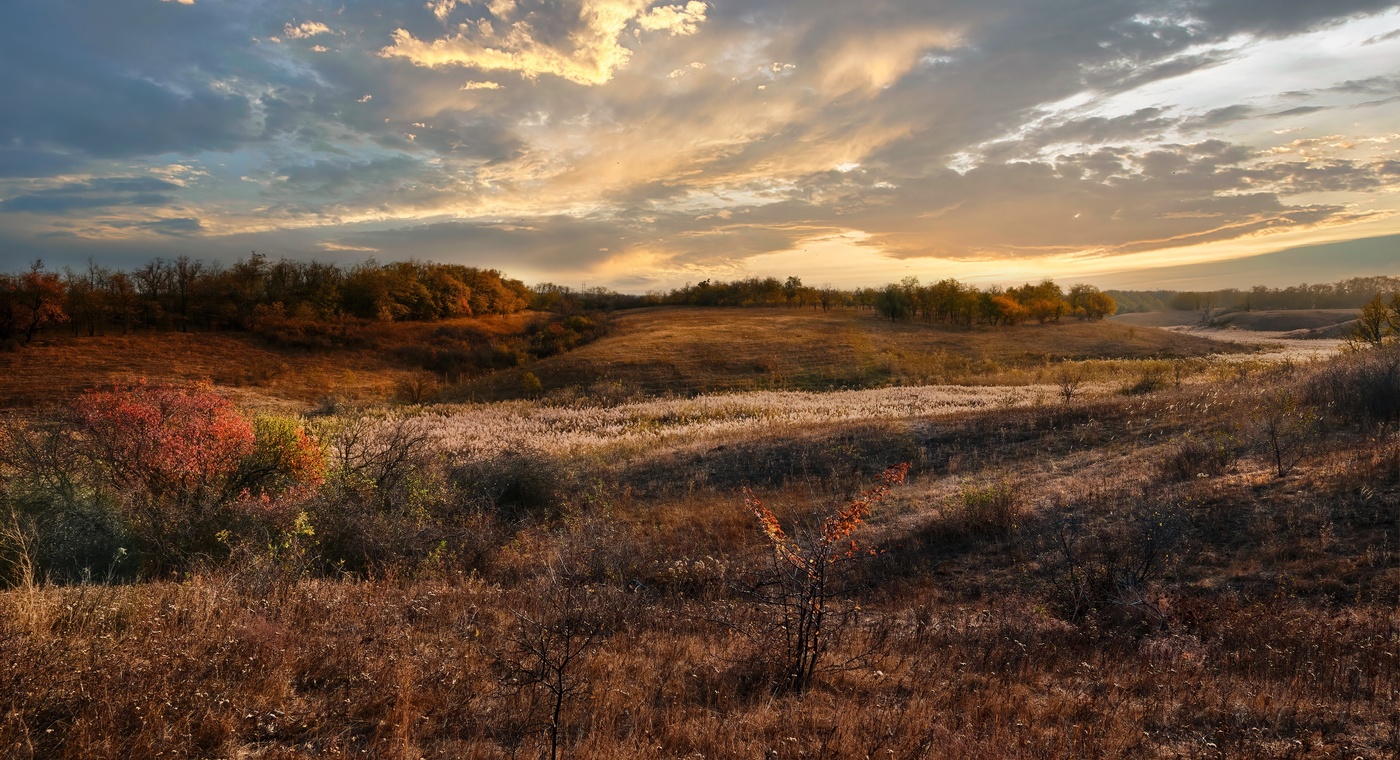 Камышовая дорога.