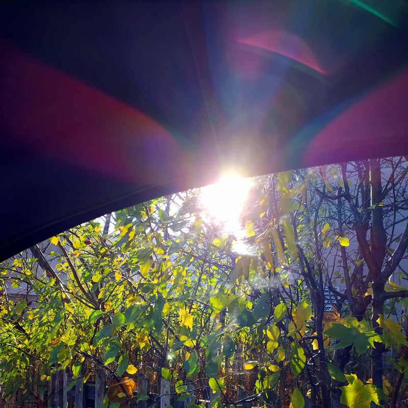 Все краски осени