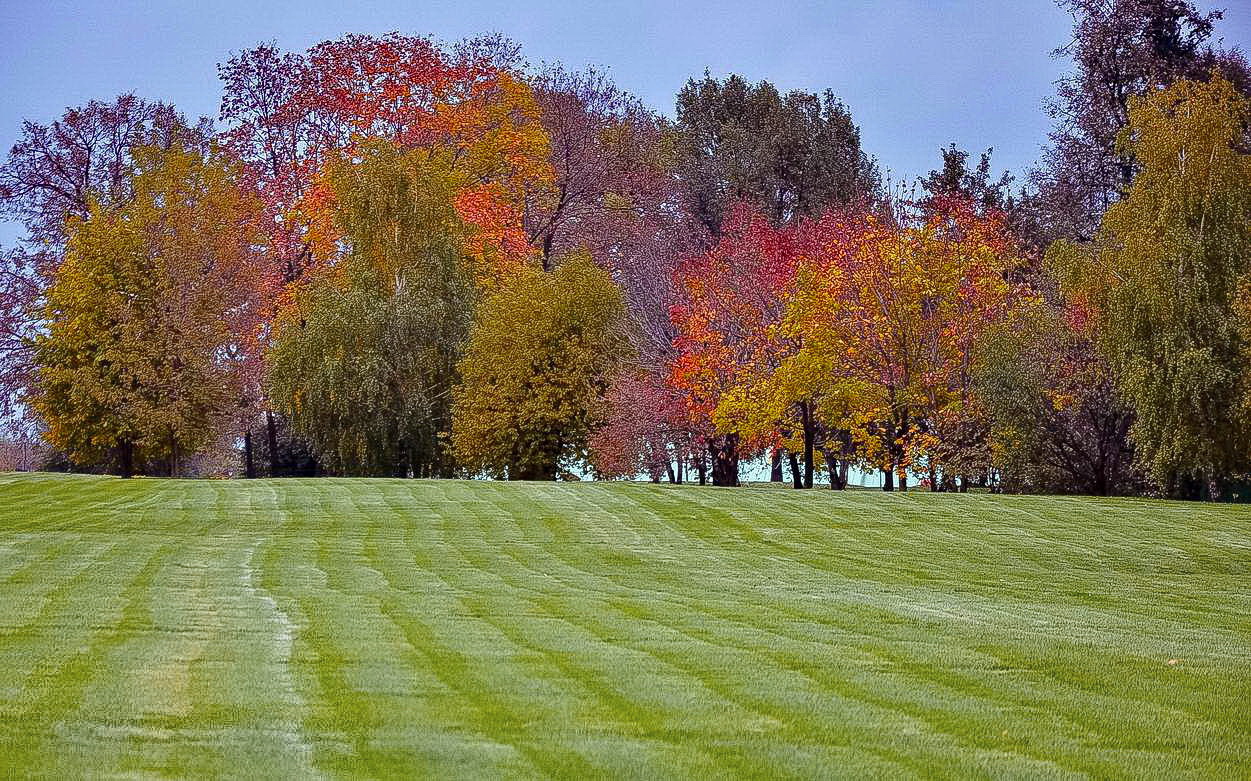 Все краски осени