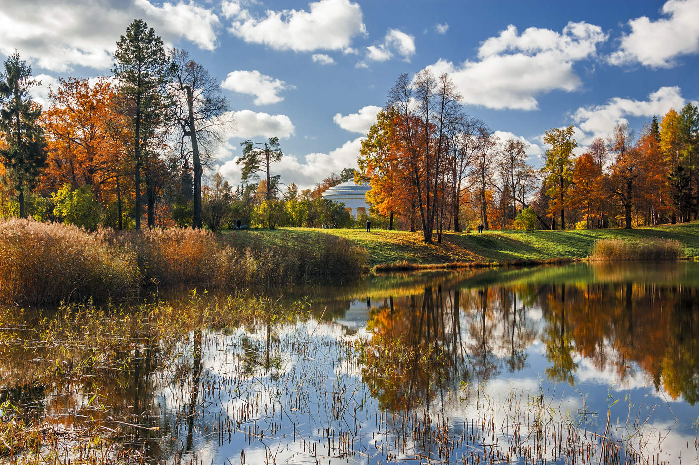 Все краски осени