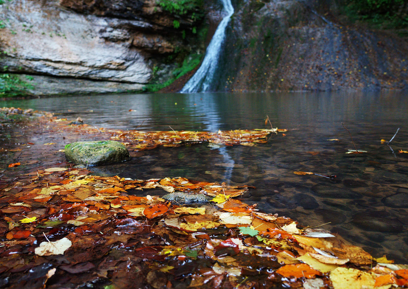 Все краски осени