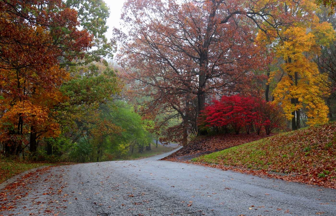 Все краски осени