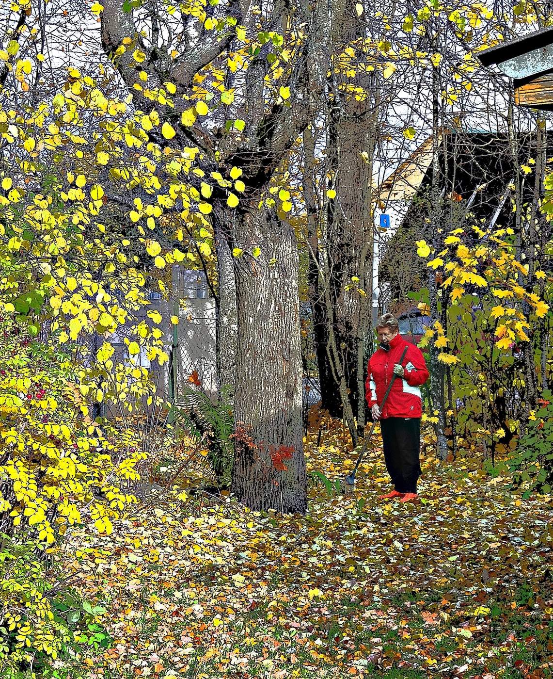 Все краски осени