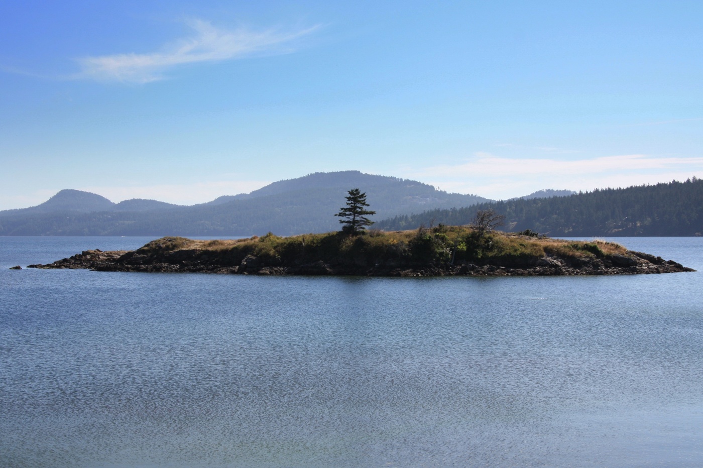 Одиночество...