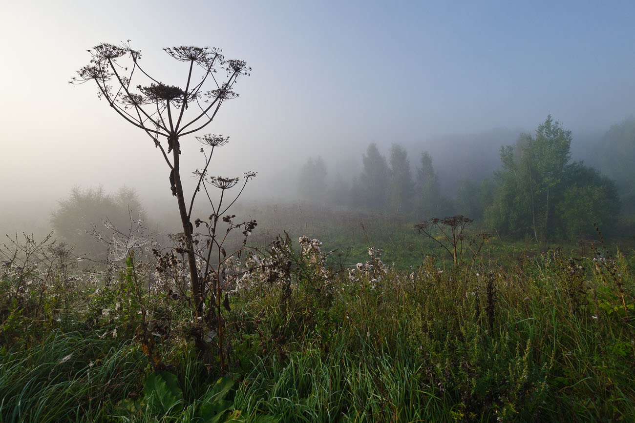 Вспоминая лето