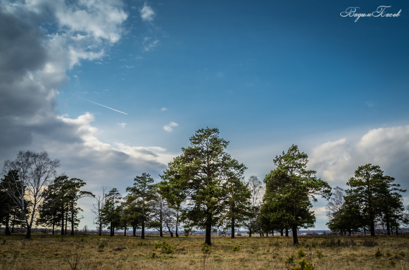 Осенняя зарисовка