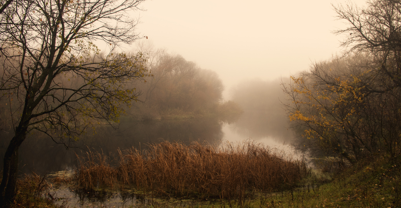 Утренний осенний туман