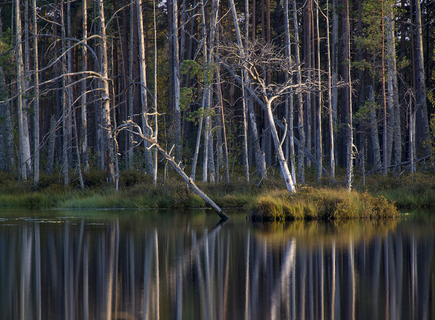 Тайна мертвого озера
