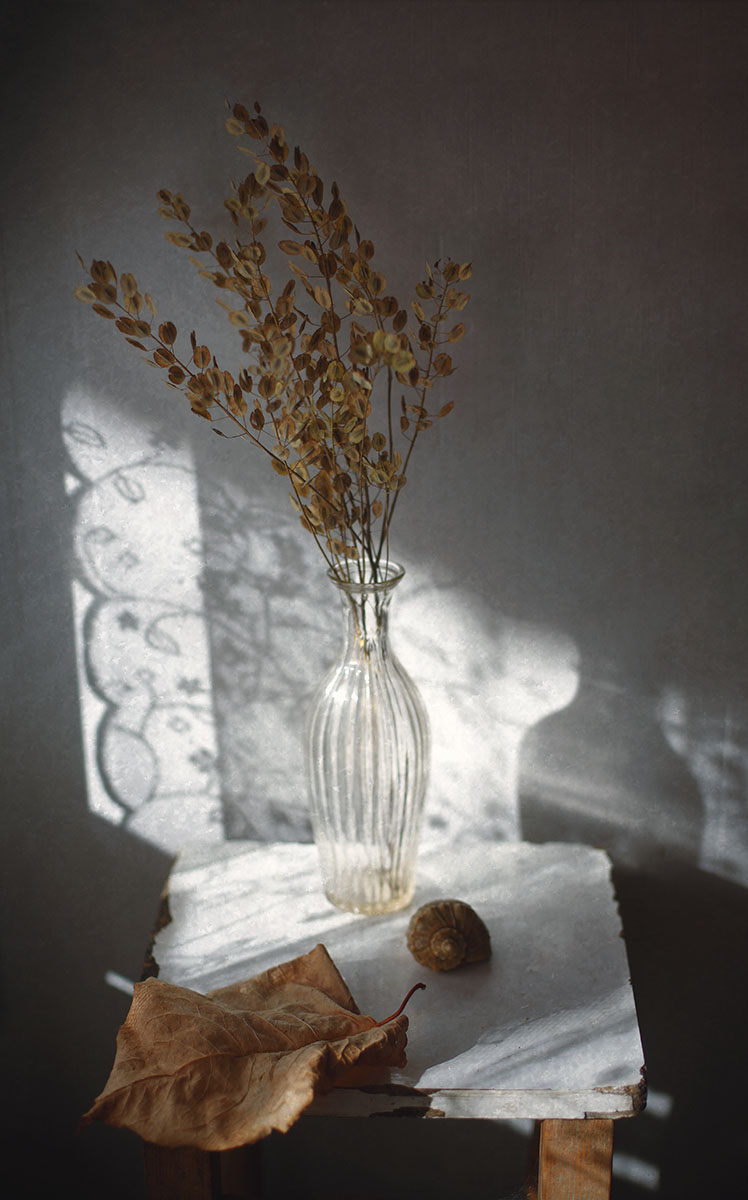 Луч солнца золотого...