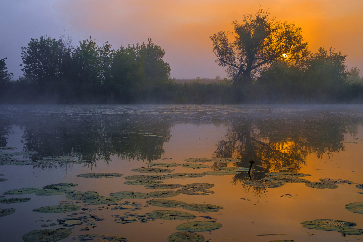 Летний туман