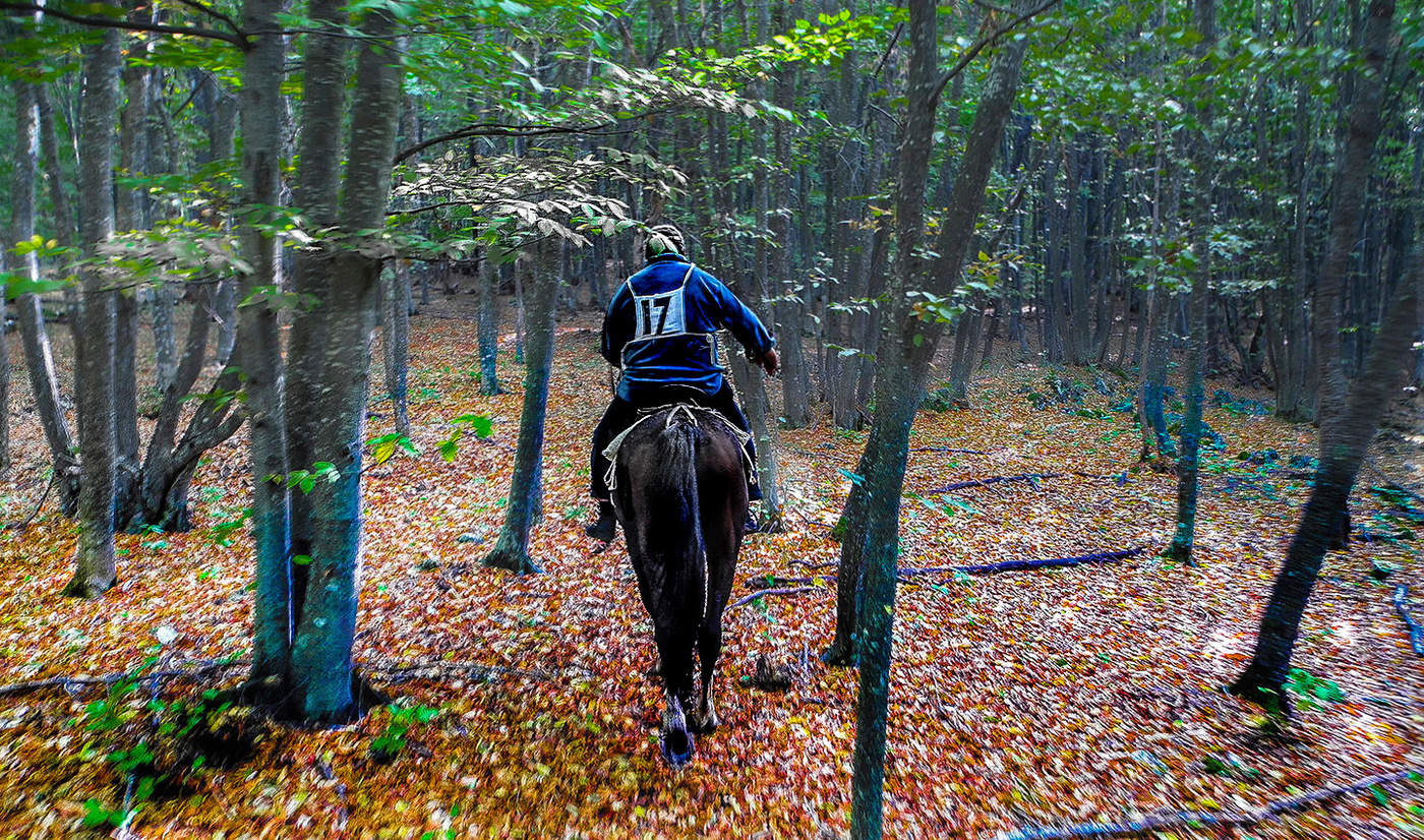 Осеннее дерби