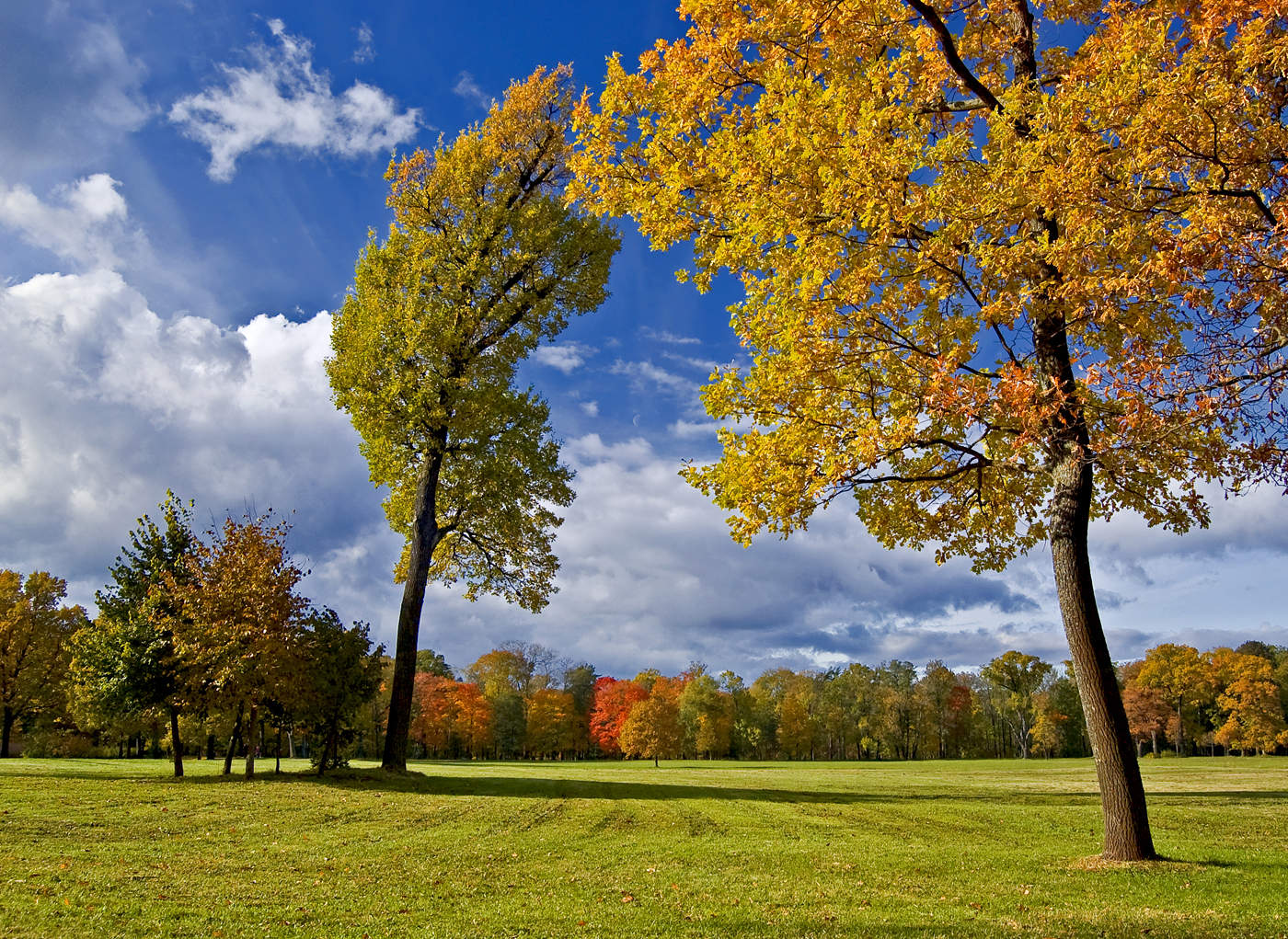 Осенний поцелуй.