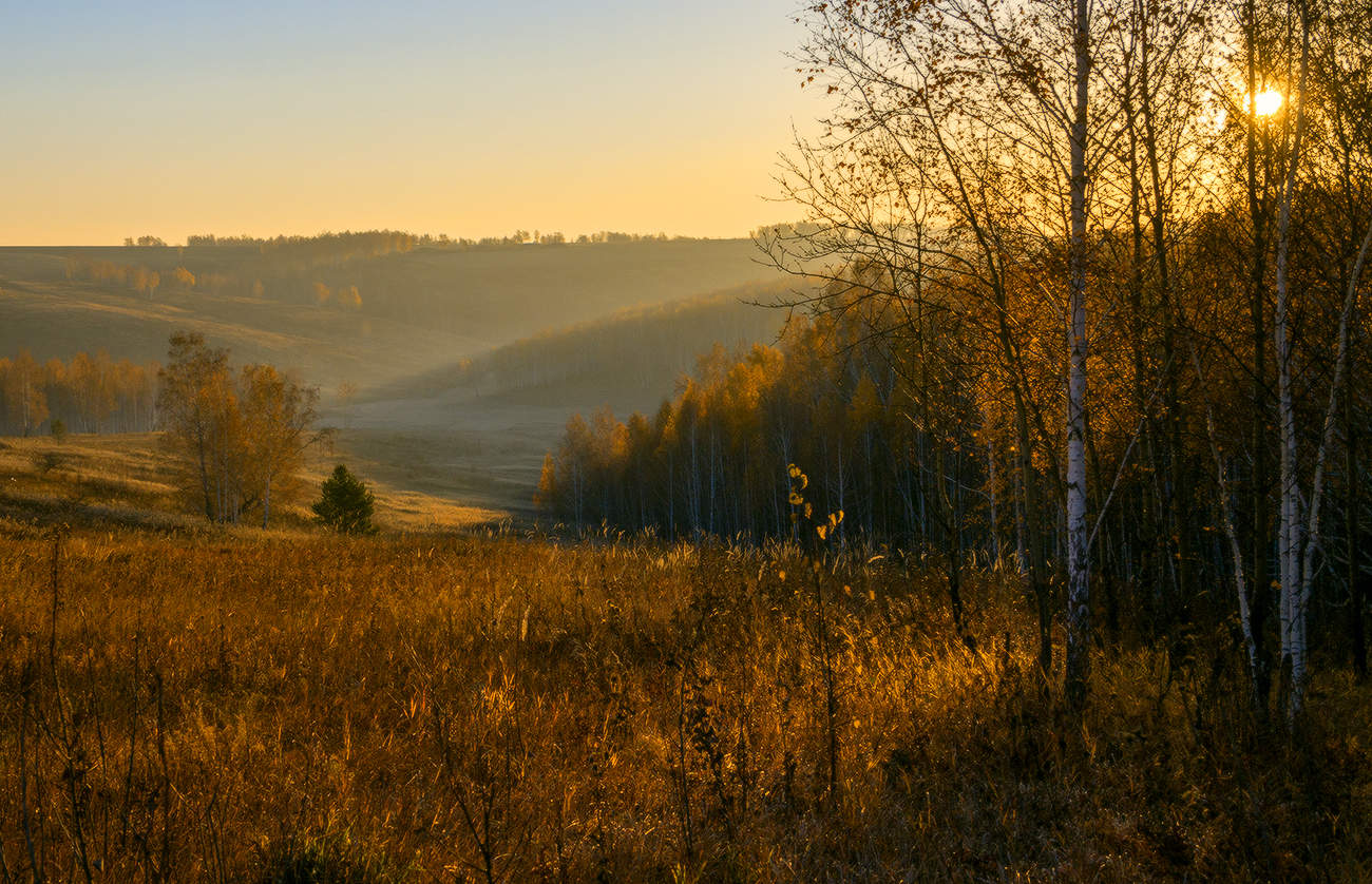 Утро осеннее