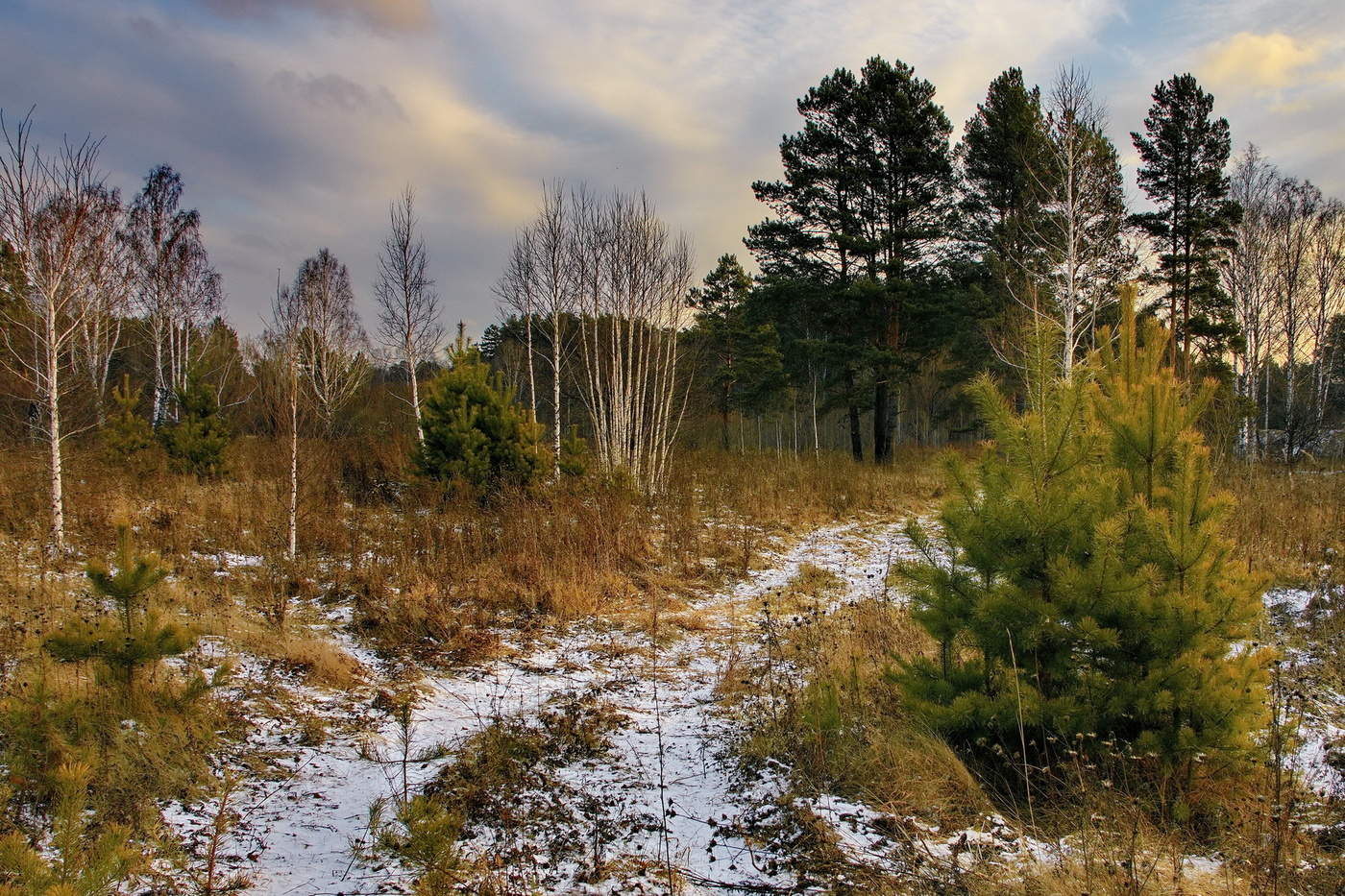 Поздняя осень.