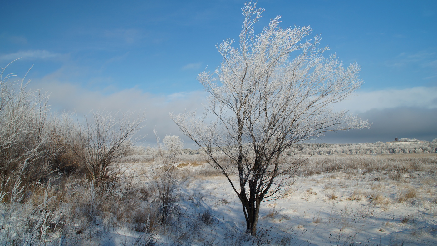 Морозный день.