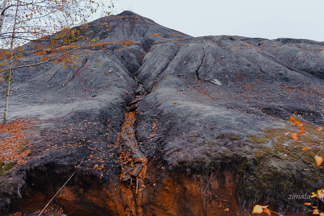террикон осенью