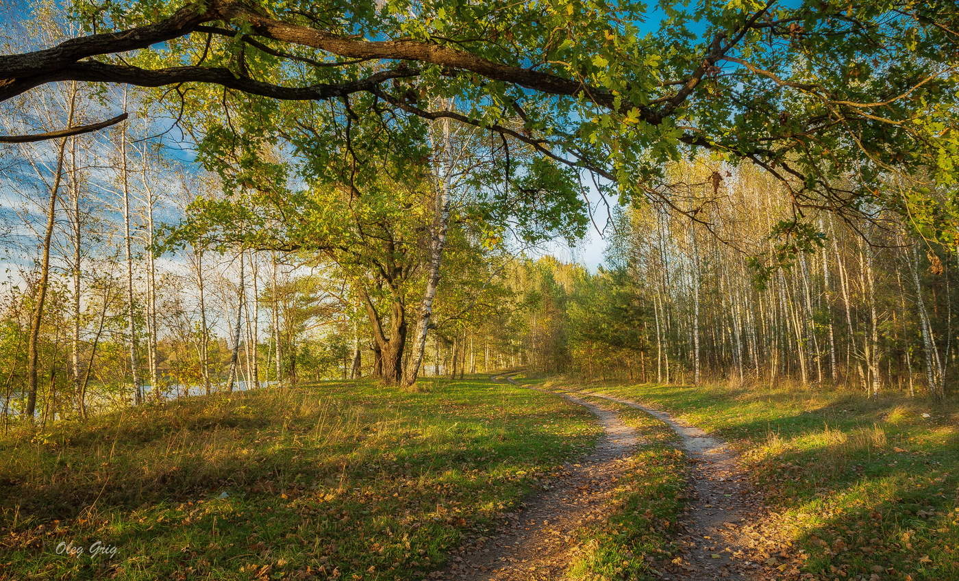 Иду в осенний лес,шуршащий...