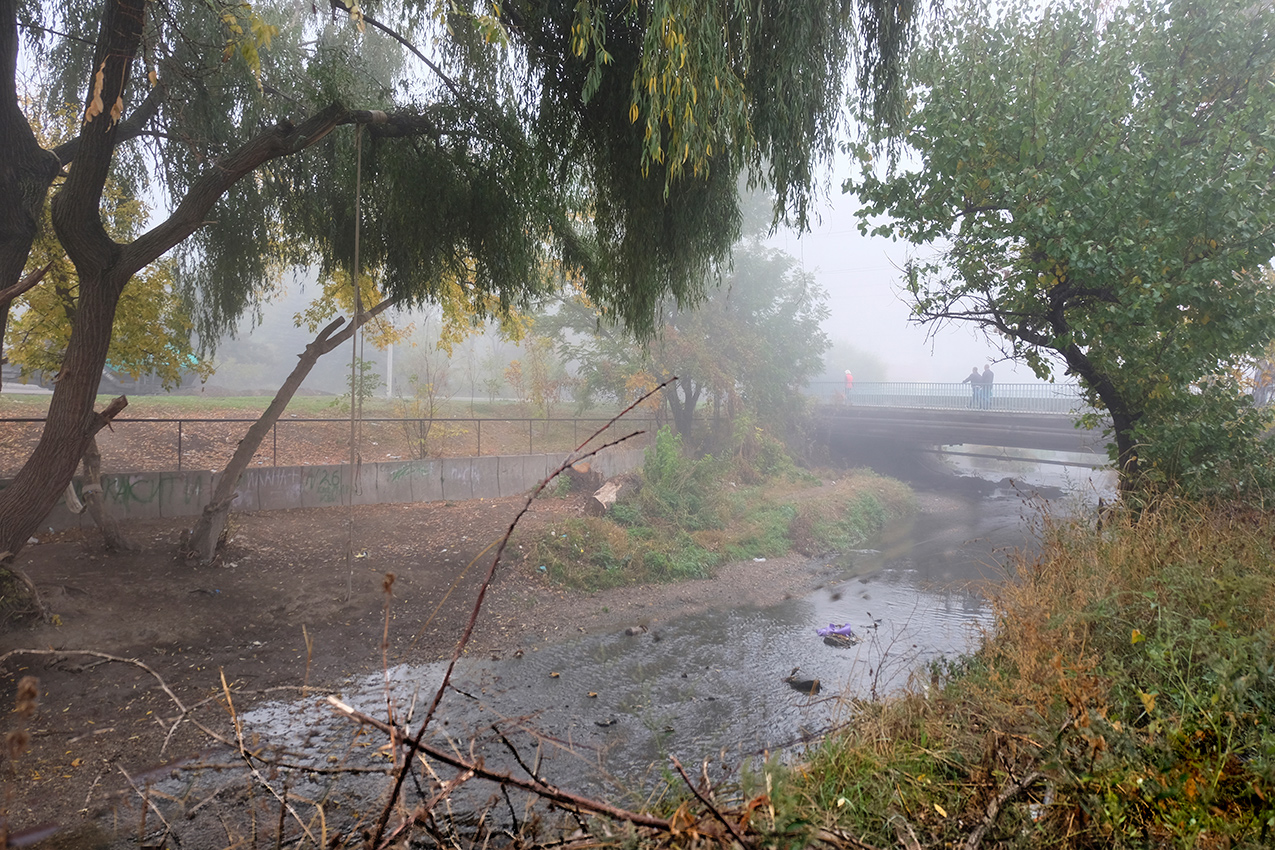 Ох, туманы мои, растуманы...