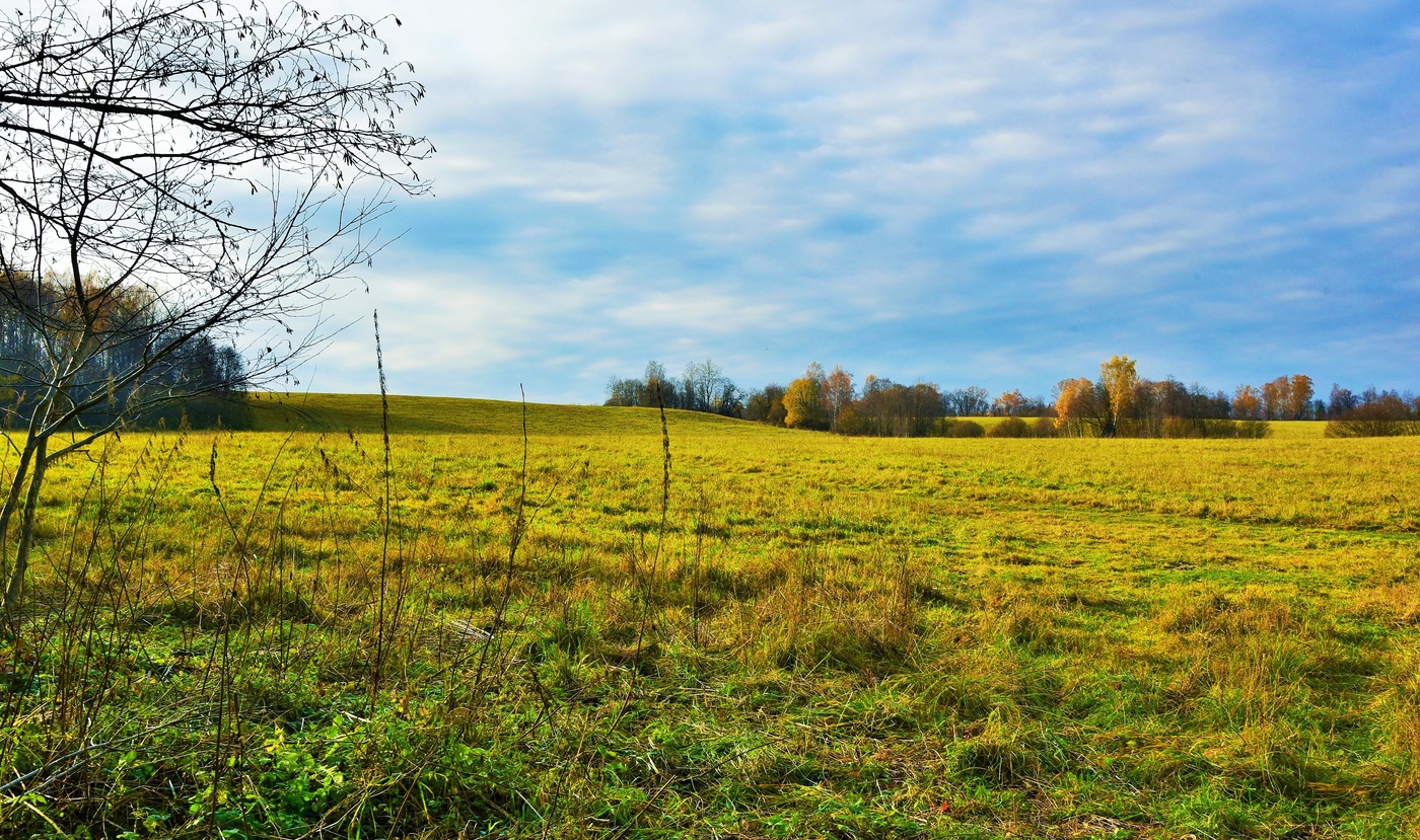 "Мои осенние поля... Как пусто в них..."