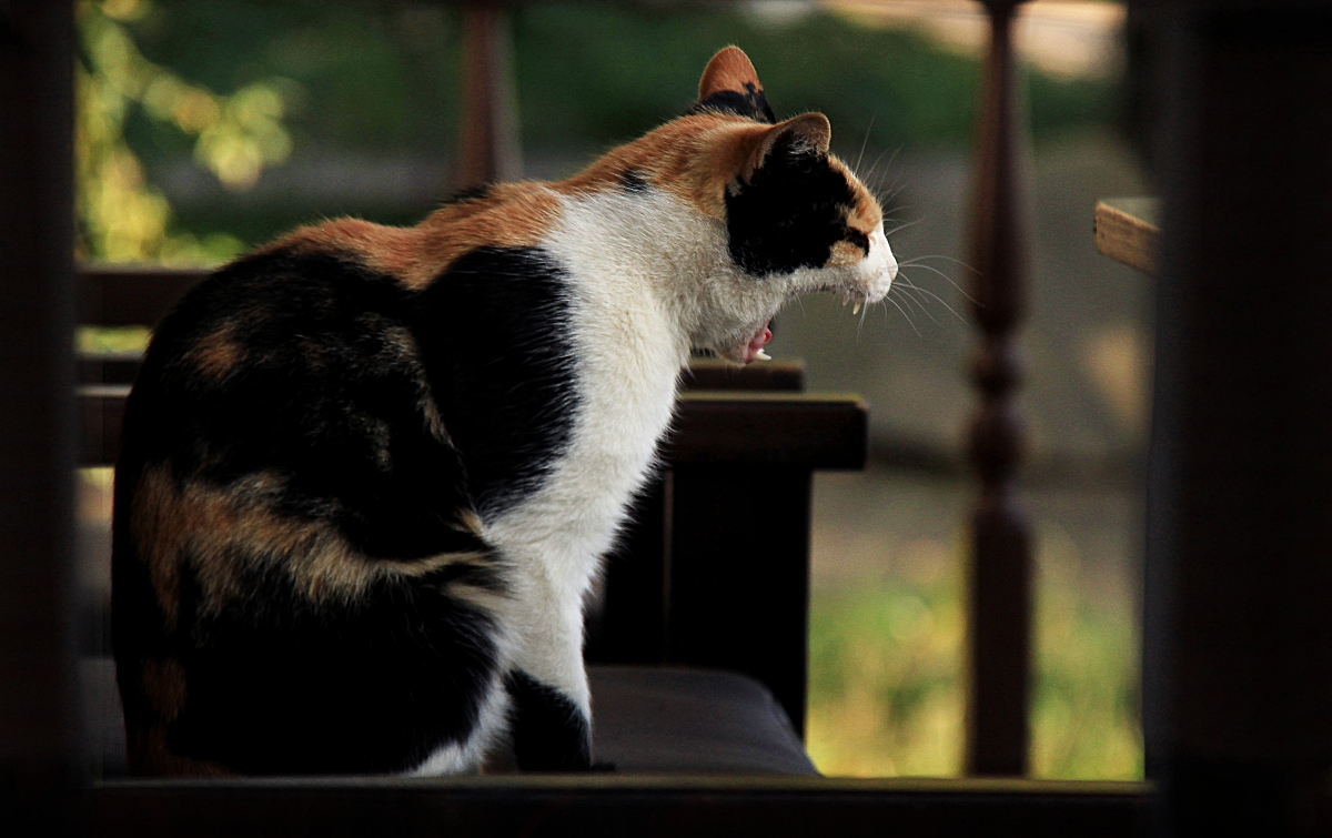 Утро вечера мудренее