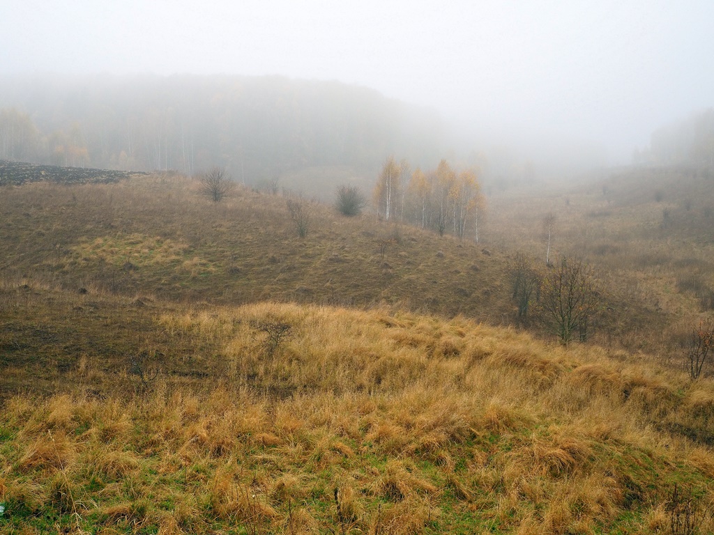 Утро вечера мудренее