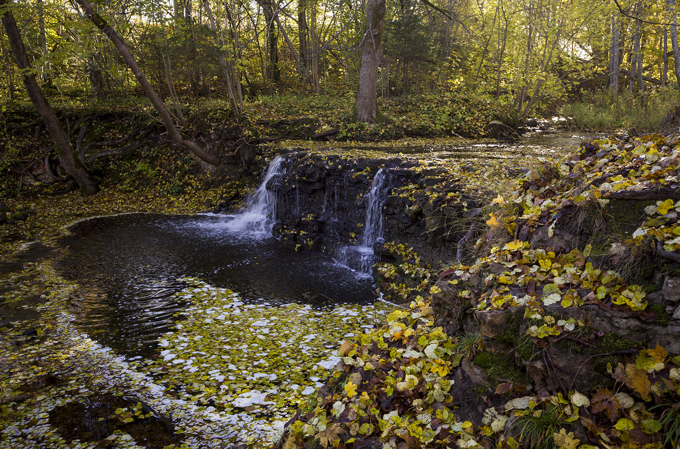 Алхимия осени