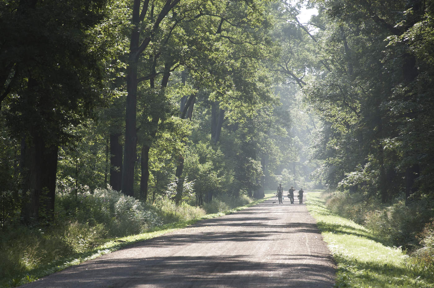 Утро вечера мудренее