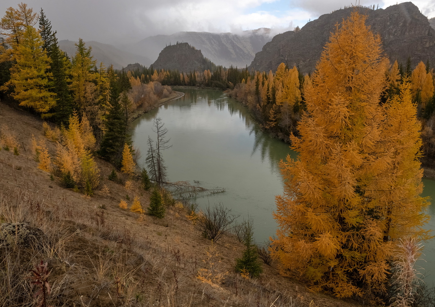 Осенняя Чуя.