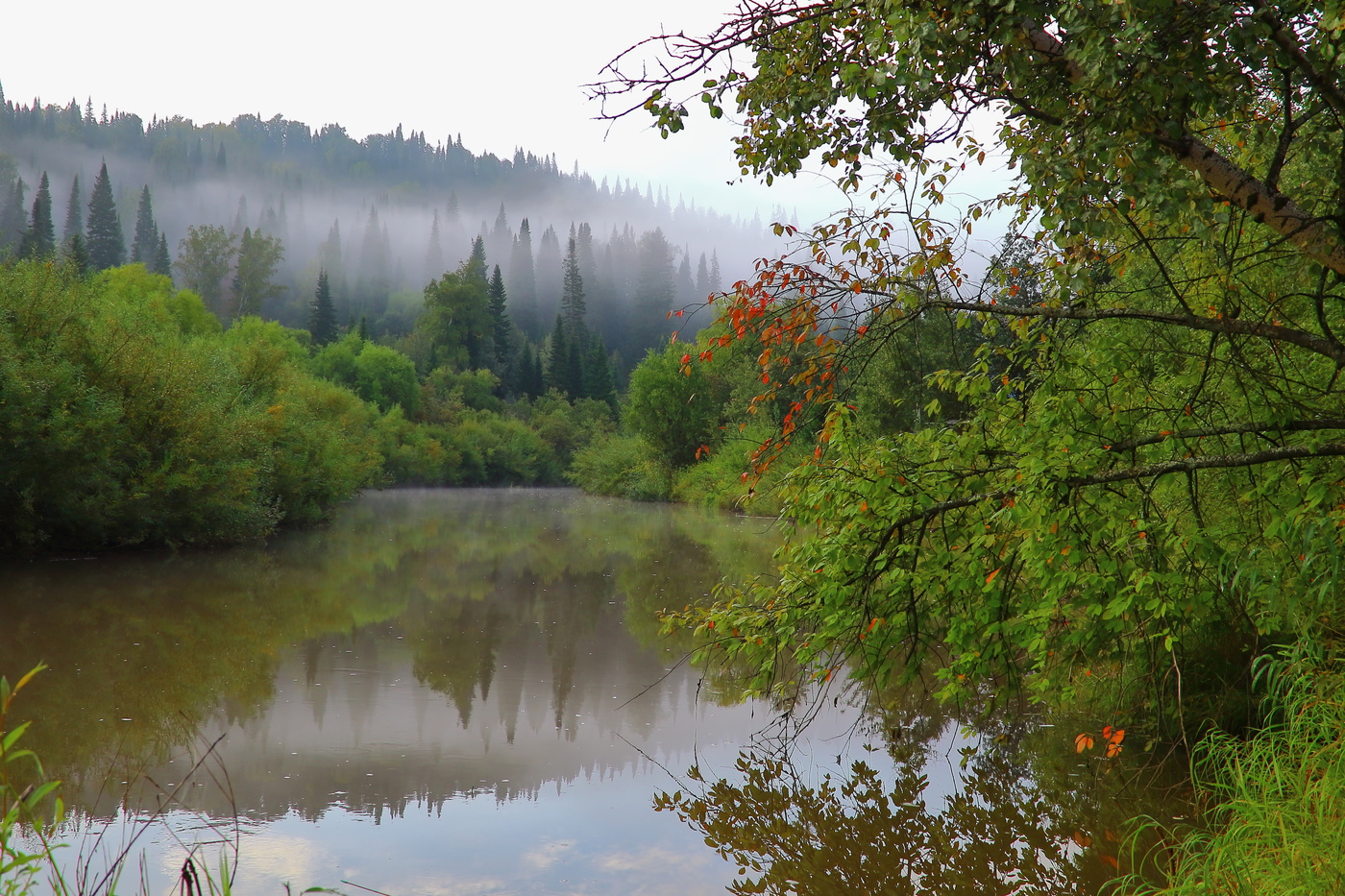 Утро вечера мудренее